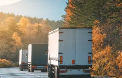 Bursa Topağacı | Klima Taşıma